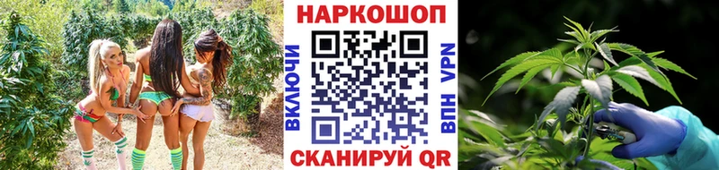Цена Чишмы Alpha-PVP  Кокаин  Меф мяу мяу  Гашиш 