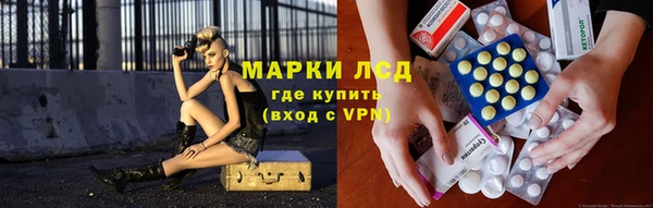 прущие грибы Абаза
