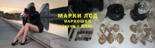 прущие грибы Абаза
