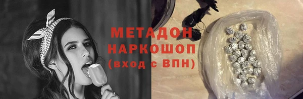 прущие грибы Абаза