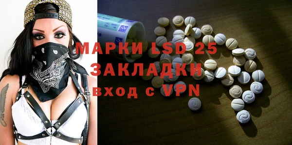 прущие грибы Абаза