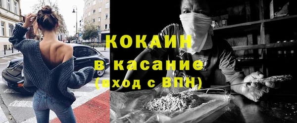 прущие грибы Абаза