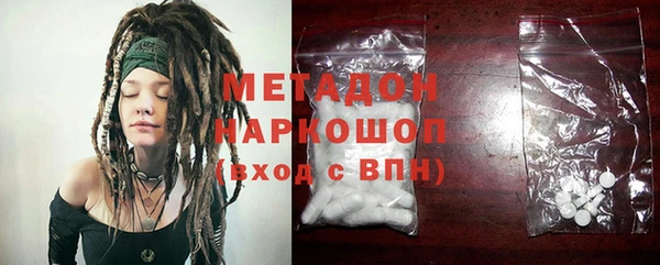 прущие грибы Абаза