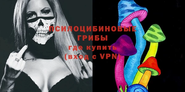 прущие грибы Абаза